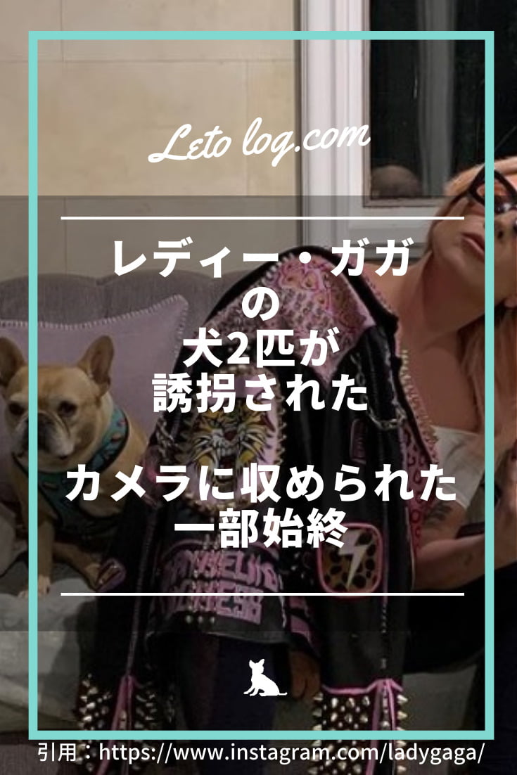 レディー ガガの犬2匹が誘拐された カメラに収められた一部始終 Leto Log