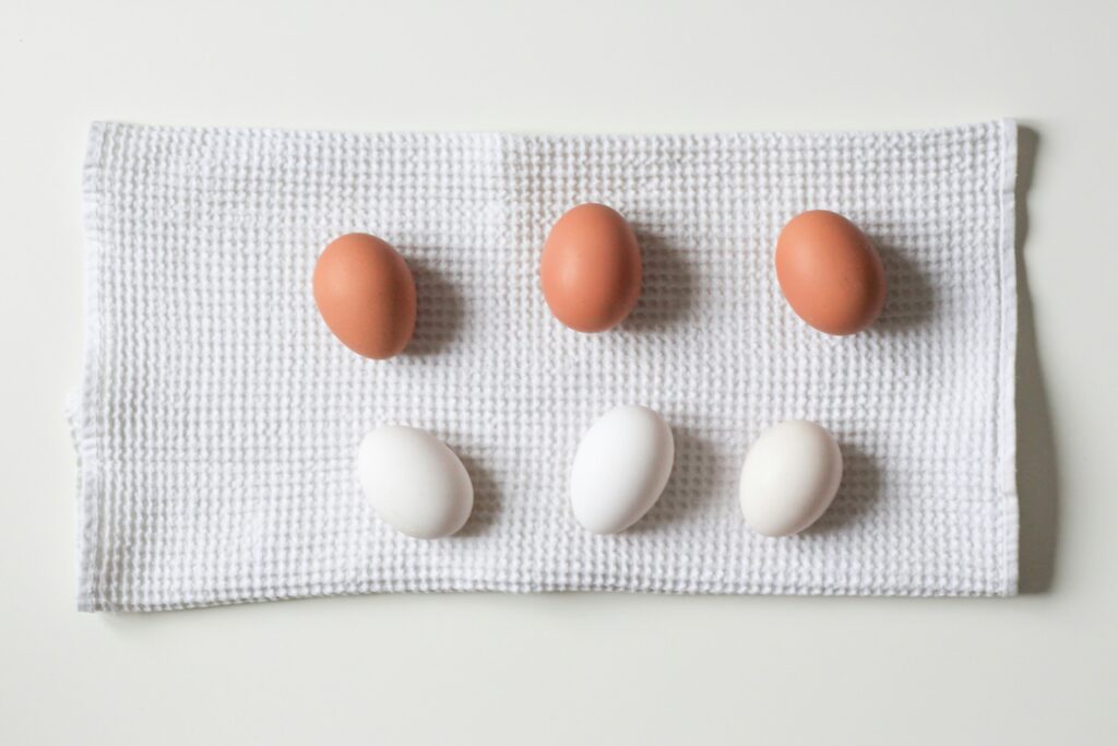 Eggs lined up on a towel.