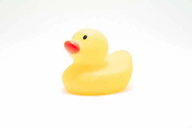 Duck with white back ground