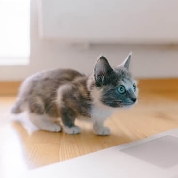 ベビれと