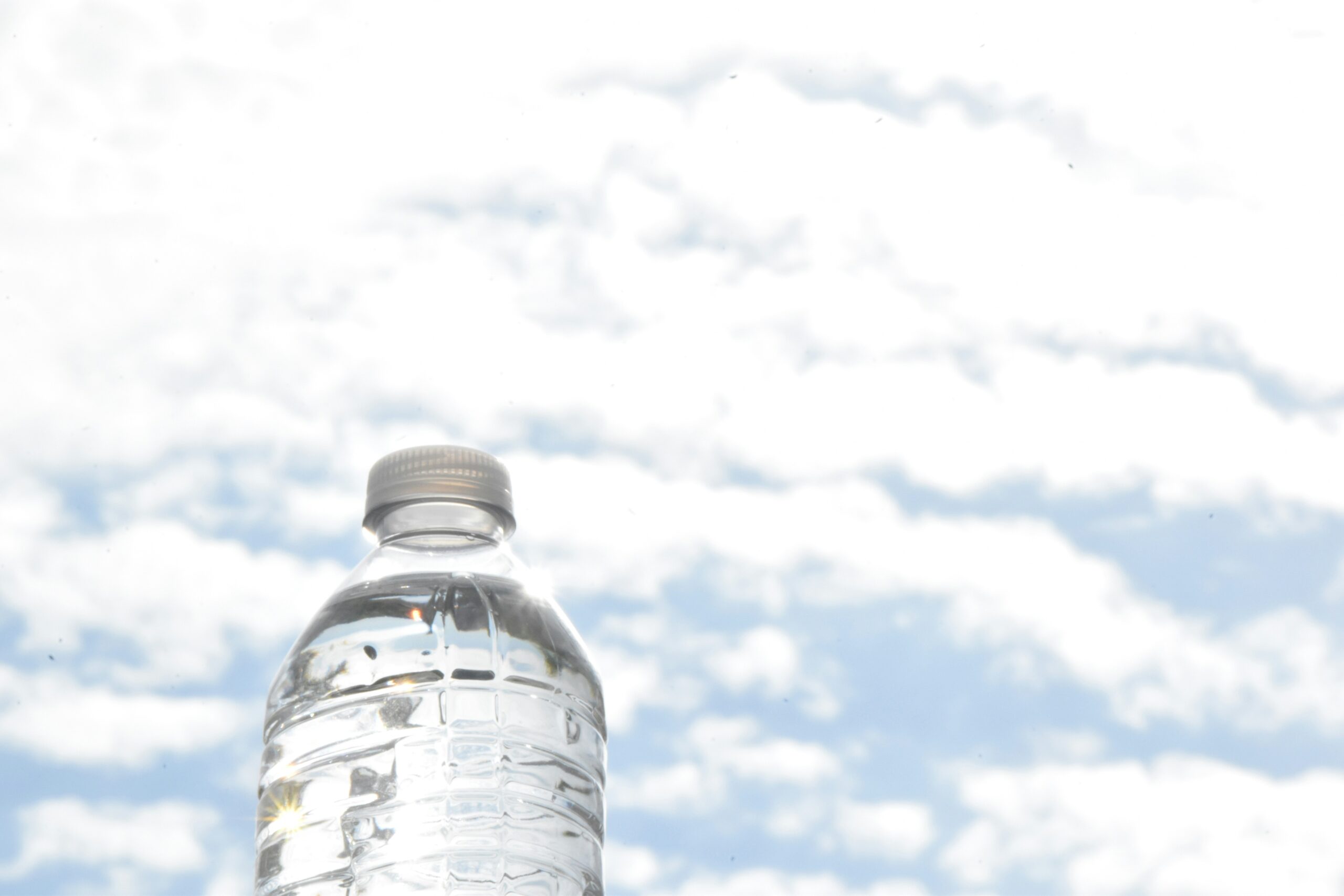 Plastic bottle